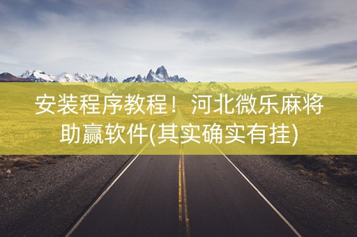 安装程序教程！河北微乐麻将助赢软件(其实确实有挂)