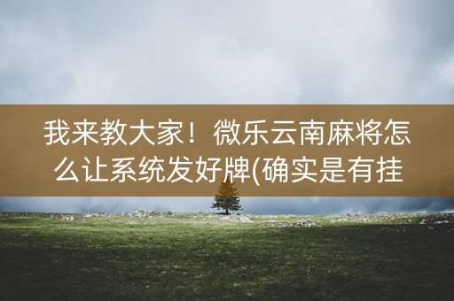 我来教大家！微乐云南麻将怎么让系统发好牌(确实是有挂)