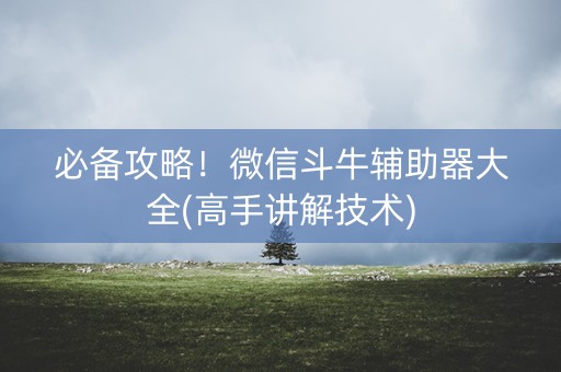 必备攻略！微信斗牛辅助器大全(高手讲解技术)