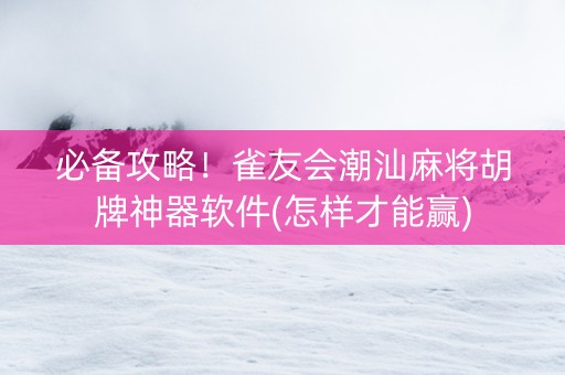 必备攻略！雀友会潮汕麻将胡牌神器软件(怎样才能赢)