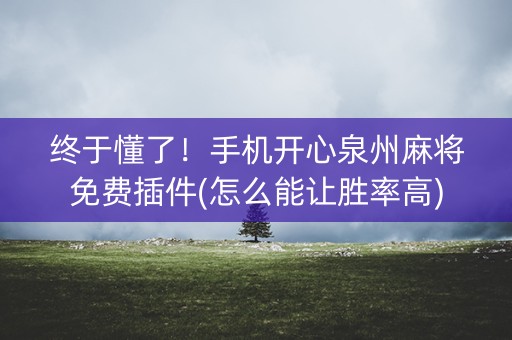 终于懂了！手机开心泉州麻将免费插件(怎么能让胜率高)