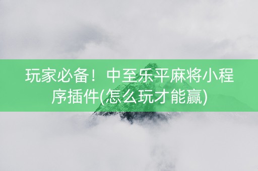 玩家必备！中至乐平麻将小程序插件(怎么玩才能赢)