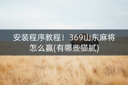 安装程序教程！369山东麻将怎么赢(有哪些猫腻)