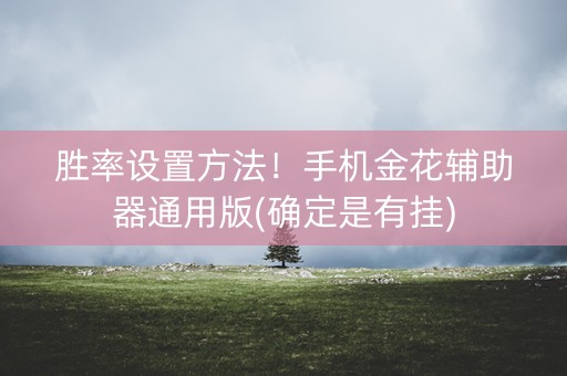 胜率设置方法！手机金花辅助器通用版(确定是有挂)