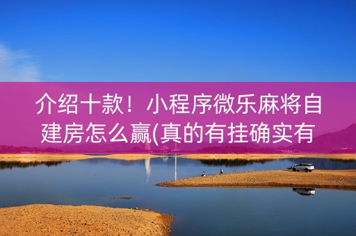 介绍十款！小程序微乐麻将自建房怎么赢(真的有挂确实有挂)