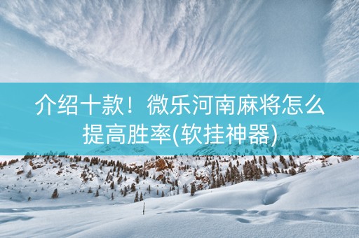 介绍十款！微乐河南麻将怎么提高胜率(软挂神器)