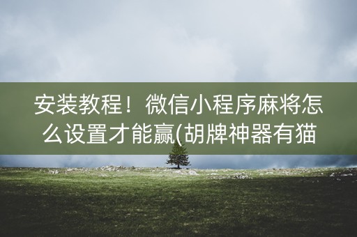安装教程！微信小程序麻将怎么设置才能赢(胡牌神器有猫腻吗)