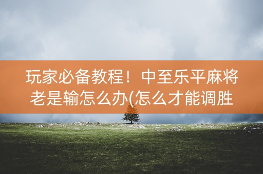 玩家必备教程！中至乐平麻将老是输怎么办(怎么才能调胜率)