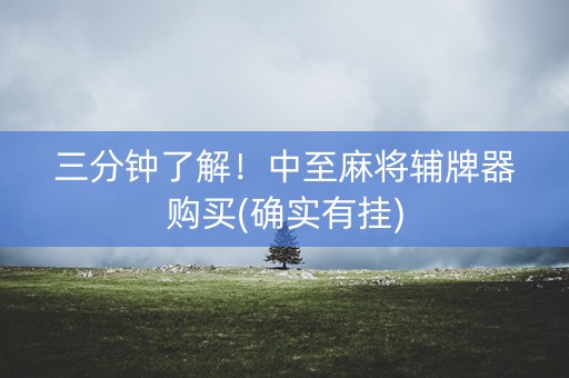 三分钟了解！中至麻将辅牌器购买(确实有挂)