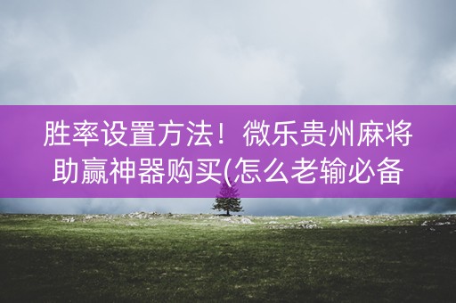 胜率设置方法！微乐贵州麻将助赢神器购买(怎么老输必备神器)