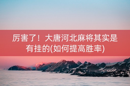 厉害了！大唐河北麻将其实是有挂的(如何提高胜率)