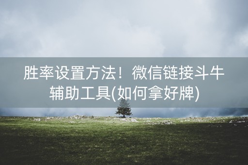 胜率设置方法！微信链接斗牛辅助工具(如何拿好牌)