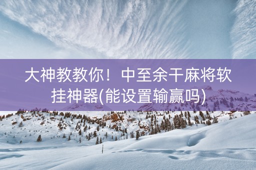 大神教教你！中至余干麻将软挂神器(能设置输赢吗)