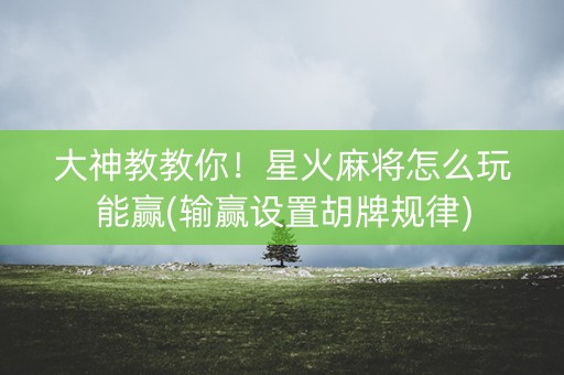 大神教教你！星火麻将怎么玩能赢(输赢设置胡牌规律)