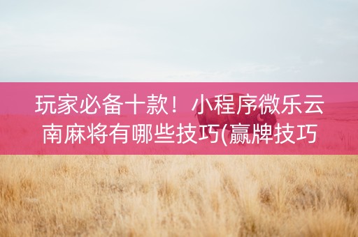 玩家必备十款！小程序微乐云南麻将有哪些技巧(赢牌技巧插件安装)