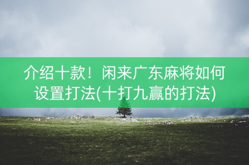 介绍十款！闲来广东麻将如何设置打法(十打九赢的打法)