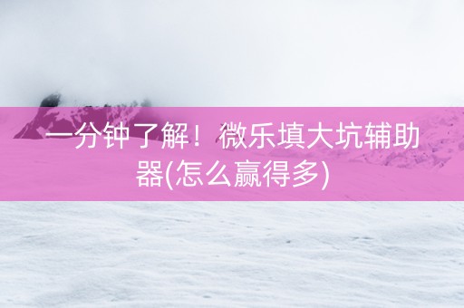 一分钟了解！微乐填大坑辅助器(怎么赢得多)
