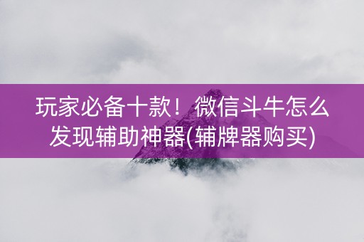 玩家必备十款！微信斗牛怎么发现辅助神器(辅牌器购买)