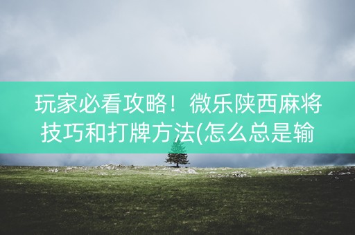 玩家必看攻略！微乐陕西麻将技巧和打牌方法(怎么总是输)