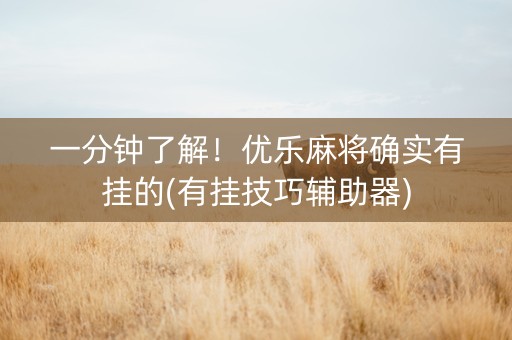 一分钟了解！优乐麻将确实有挂的(有挂技巧辅助器)