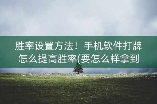 胜率设置方法！手机软件打牌怎么提高胜率(要怎么样拿到好牌)