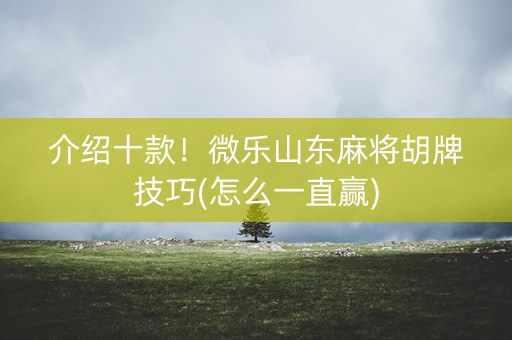 介绍十款！微乐山东麻将胡牌技巧(怎么一直赢)