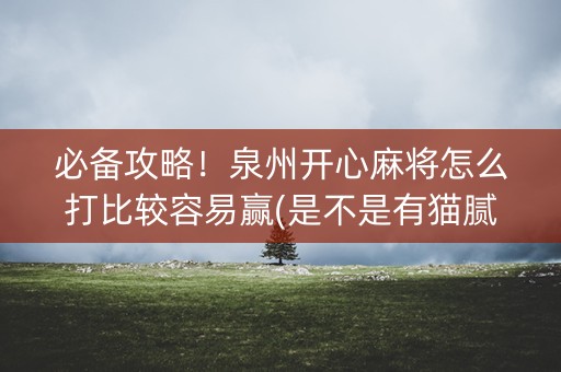 必备攻略！泉州开心麻将怎么打比较容易赢(是不是有猫腻)