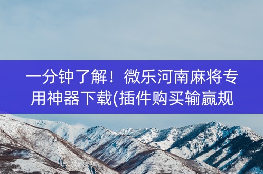 一分钟了解！微乐河南麻将专用神器下载(插件购买输赢规律)