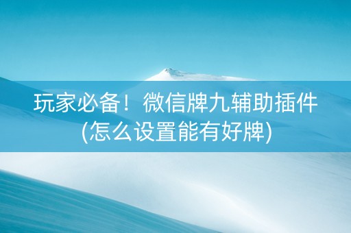玩家必备！微信牌九辅助插件(怎么设置能有好牌)