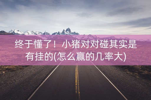 终于懂了！小猪对对碰其实是有挂的(怎么赢的几率大)