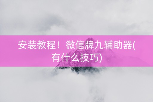 安装教程！微信牌九辅助器(有什么技巧)