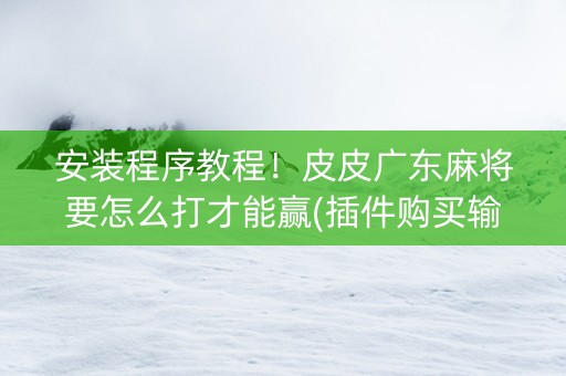 安装程序教程！皮皮广东麻将要怎么打才能赢(插件购买输赢规律)