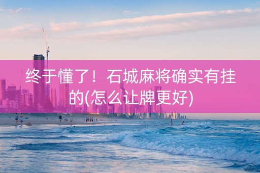 终于懂了！石城麻将确实有挂的(怎么让牌更好)