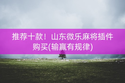 推荐十款！山东微乐麻将插件购买(输赢有规律)
