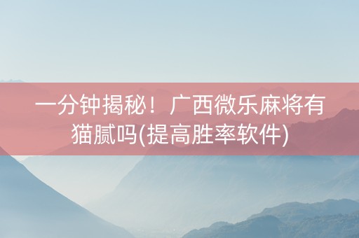 一分钟揭秘！广西微乐麻将有猫腻吗(提高胜率软件)