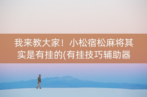 我来教大家！小松宿松麻将其实是有挂的(有挂技巧辅助器)