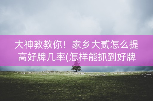 大神教教你！家乡大贰怎么提高好牌几率(怎样能抓到好牌)