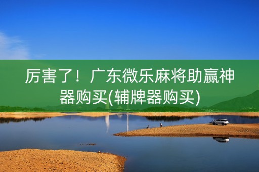厉害了！广东微乐麻将助赢神器购买(辅牌器购买)