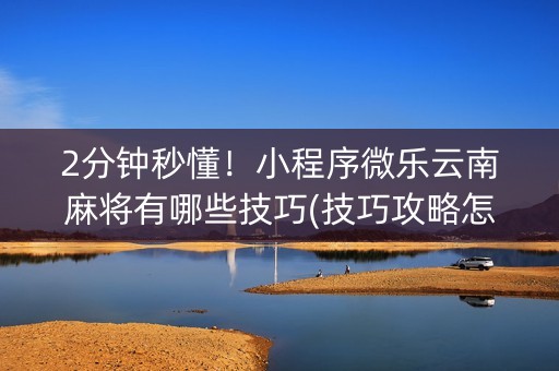 2分钟秒懂！小程序微乐云南麻将有哪些技巧(技巧攻略怎样拿好牌)