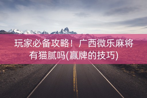 玩家必备攻略！广西微乐麻将有猫腻吗(赢牌的技巧)