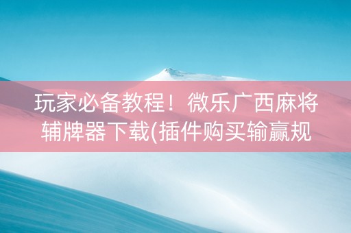 玩家必备教程！微乐广西麻将辅牌器下载(插件购买输赢规律)