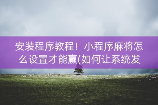 安装程序教程！小程序麻将怎么设置才能赢(如何让系统发好牌)