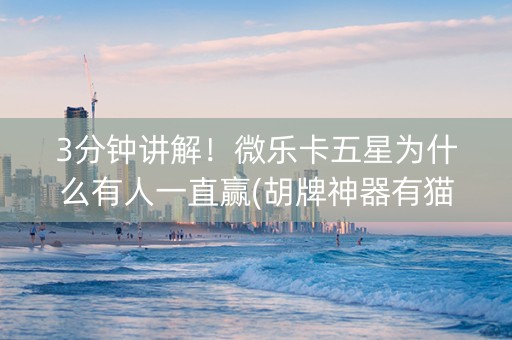 3分钟讲解！微乐卡五星为什么有人一直赢(胡牌神器有猫腻吗)