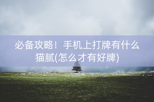 必备攻略！手机上打牌有什么猫腻(怎么才有好牌)