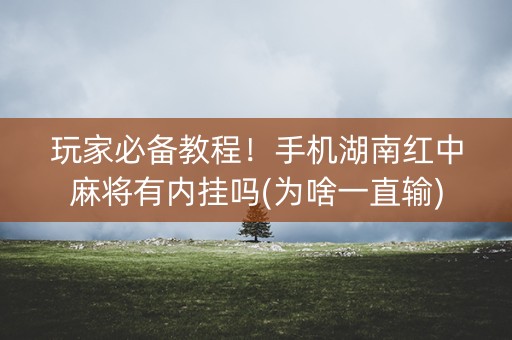 玩家必备教程！手机湖南红中麻将有内挂吗(为啥一直输)