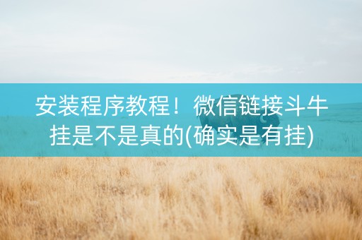 安装程序教程！微信链接斗牛挂是不是真的(确实是有挂)