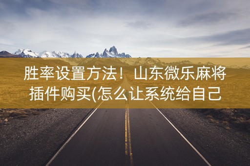 胜率设置方法！山东微乐麻将插件购买(怎么让系统给自己好牌)