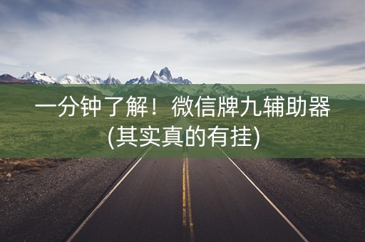 一分钟了解！微信牌九辅助器(其实真的有挂)
