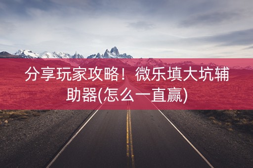 分享玩家攻略！微乐填大坑辅助器(怎么一直赢)