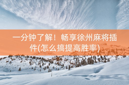 一分钟了解！畅享徐州麻将插件(怎么搞提高胜率)